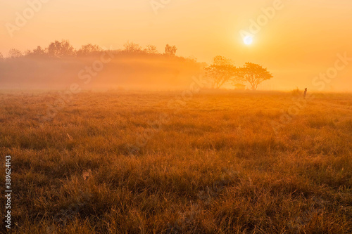 .Beautiful landscape With grassland and sunshine in the morning