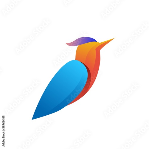 Unique colorful birds logo design template
