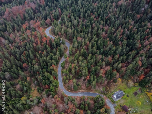 road in the autumn forest drone view