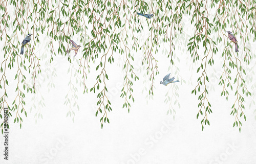 Willow branches hanging from above with birds on a white background. Wallpaper, murals and wall paintings for interior printing.