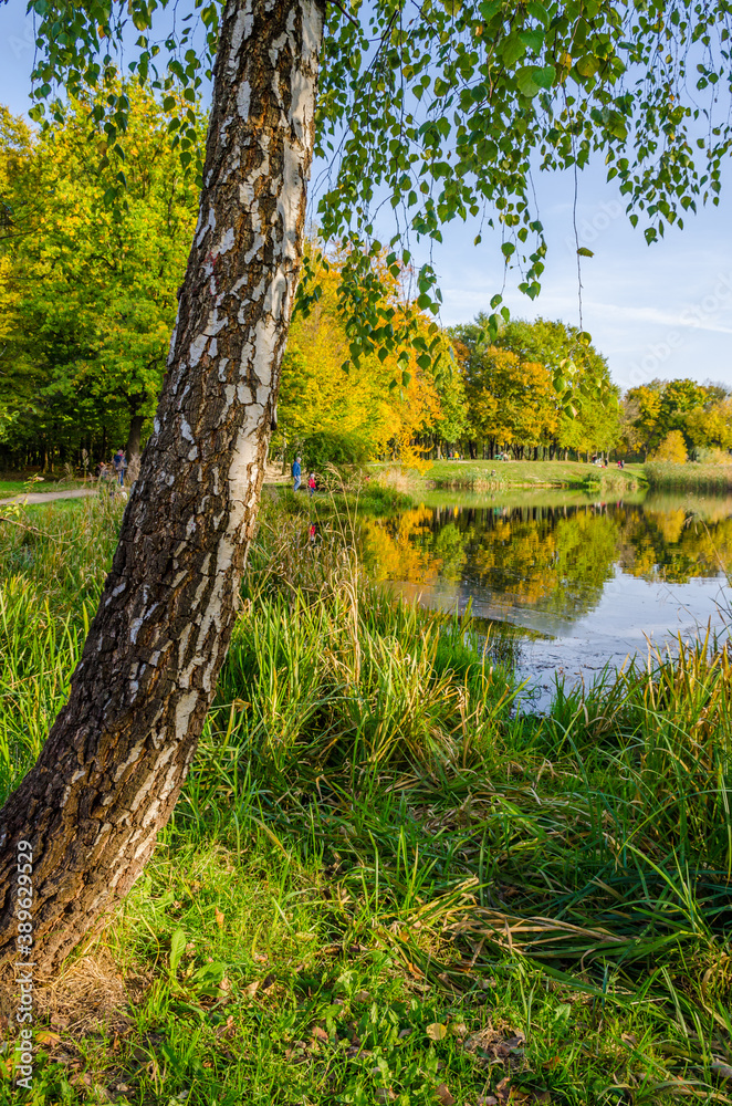 Landscape with autumn park in the sunny day. Yellow and green trees are displayed with reflection on the lake. Landscape with autumn park in the sunny day. Yellow and green trees are displayed with reflection on the lake.