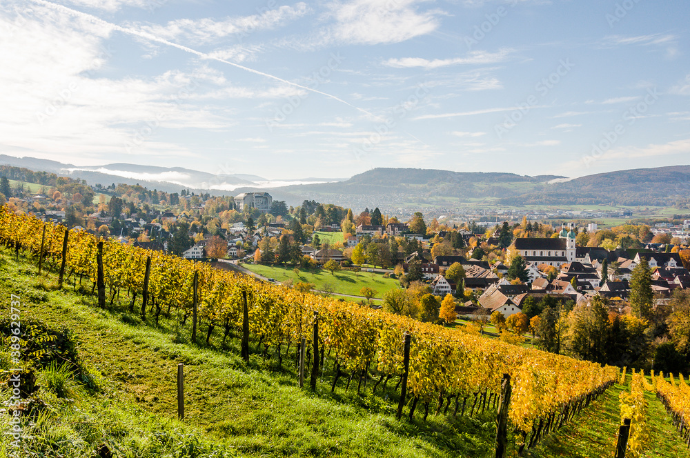 Obraz premium Arlesheim, Dom, Weinberg, Birstal, Birsebene, Aesch, Dornach, Pfeffingen, Laufental, Dorf, Herbst, Herbstlaub, Baselland, Schweiz