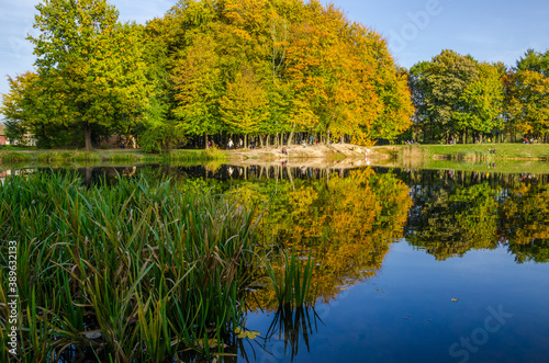 Landscape with autumn park in the sunny day. Yellow and green trees are displayed with reflection on the lake.