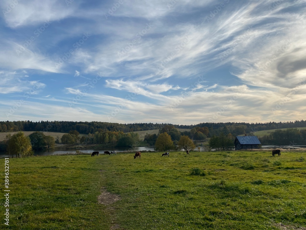 Fototapeta premium landscape with clouds