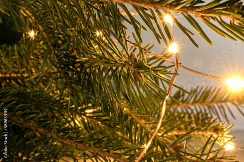 golden christmas tree, Christmas tree