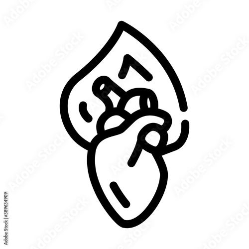 burning heart line icon vector illustration sign