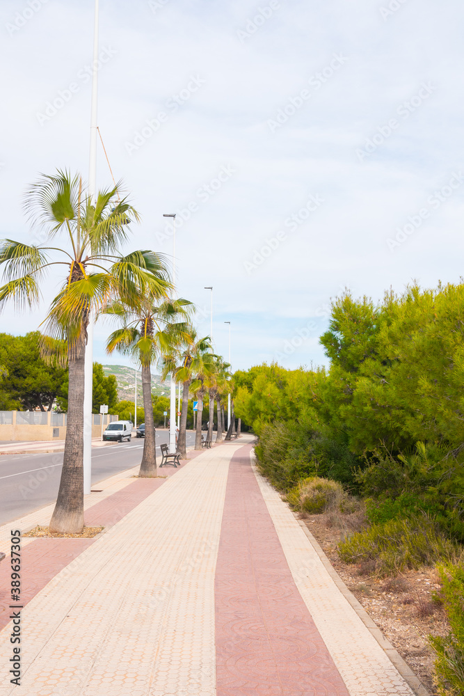Alcossebre beautiful sidewalk promenade. Palm trees aligned on the side. Costa del Azahar (Orange tree coast), Valencian community, Castellon province, Spain.