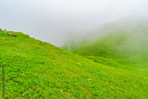 View of alpine meadows & coniferous enroute to Prashar Lake trekk trail. It is located at a height of 2730 m above sea level surrounded by lesser himalayas peaks near Mandi, Himachal Pradesh, India. photo