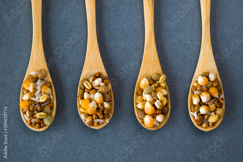 Healthy grains, full of vitamins on the wooden spoon
