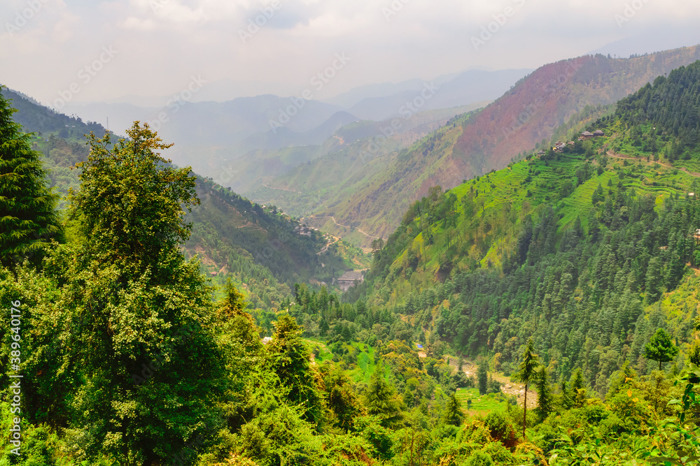Obraz premium View enroute to Prashar Lake trekk trail. It is located at a height of 2730 m above sea level surrounded by lesser himalayas peaks near Mandi, Himachal Pradesh, India.