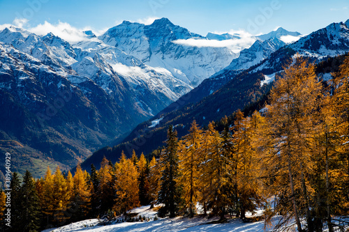 Autumn colours of the forests and mountains in the Swiss Alps of Valais