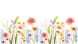 Watercolor floral seamless pattern with colorful wildflowers, plants and grass. Panoramic horizontal border, isolated on white background. Meadow in vintage style.