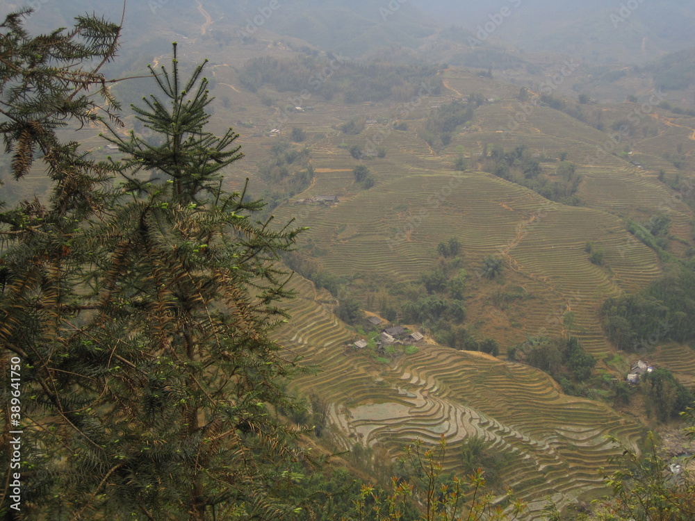 The beautiful rice fields and terraces in the mountain region of Sa Pa in Northern Vietnam, Asia