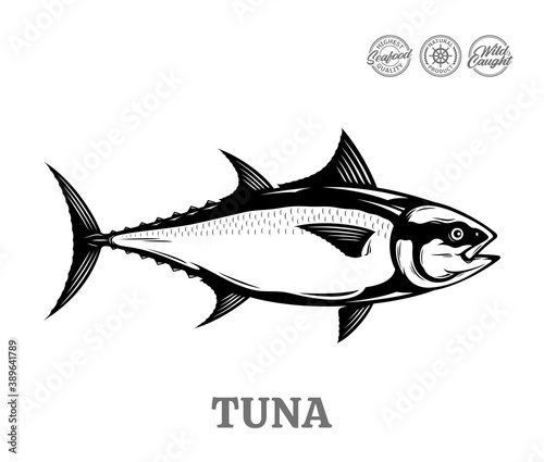Vector tuna fish illustration isolated on a white background