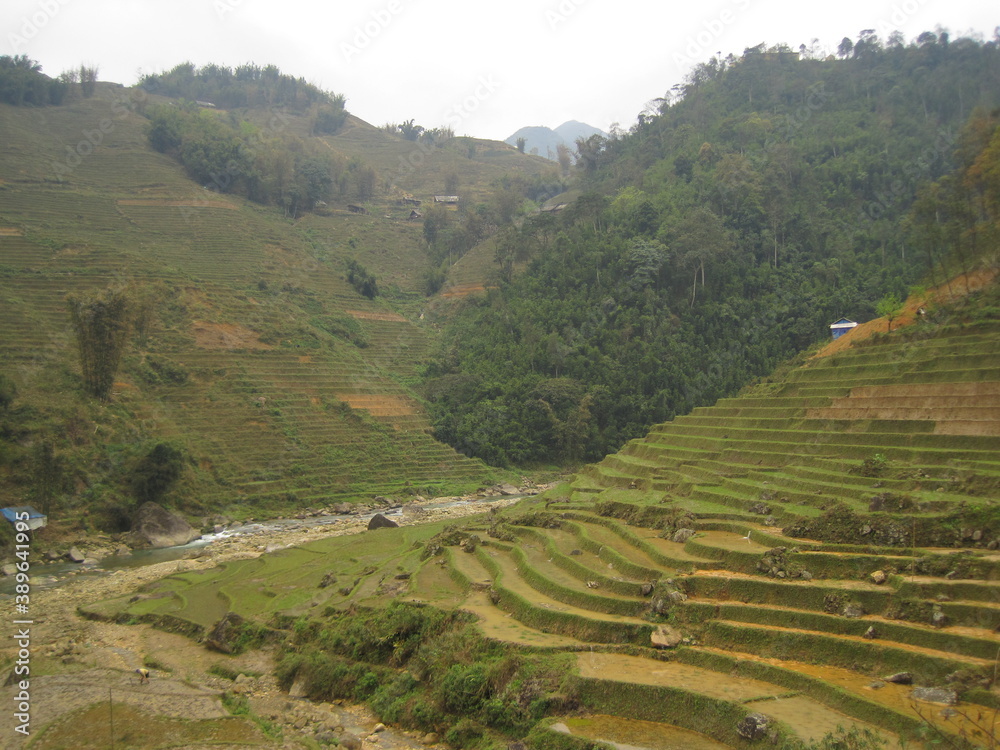 The stunning rice terraces and mountains in the Sa Pa region of Northern Vietnam, Asia