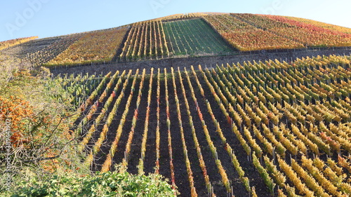 Bunte Weinberge im Herbst über dem Ahrtal bei herrlichem Sonnenschein