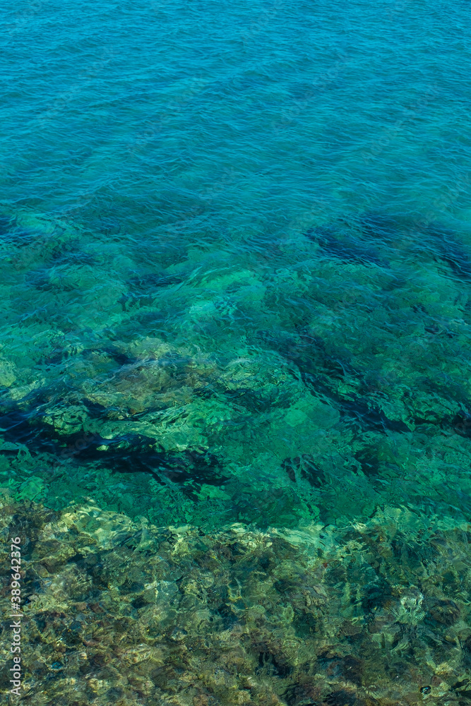 coral reef and sea