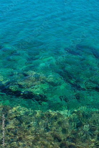 coral reef and sea © Alessandro