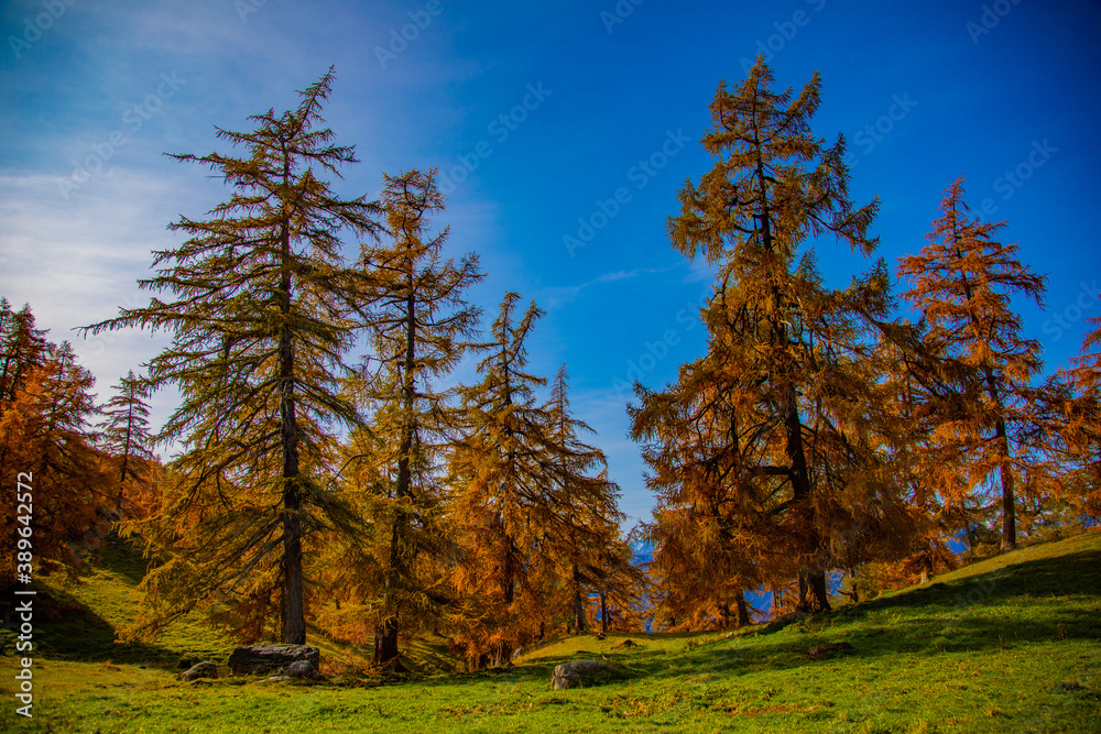 Autumn colours of the forests and mountains in the Swiss Alps of Valais Autumn colours of the forests and mountains in the Swiss Alps of Valais
