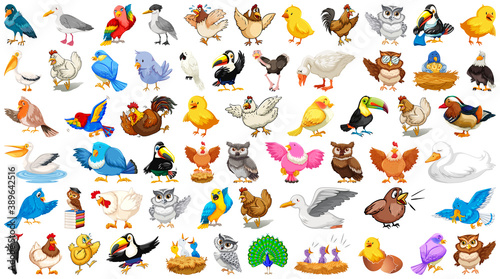 Set of different birds cartoon style isolated on white background © blueringmedia