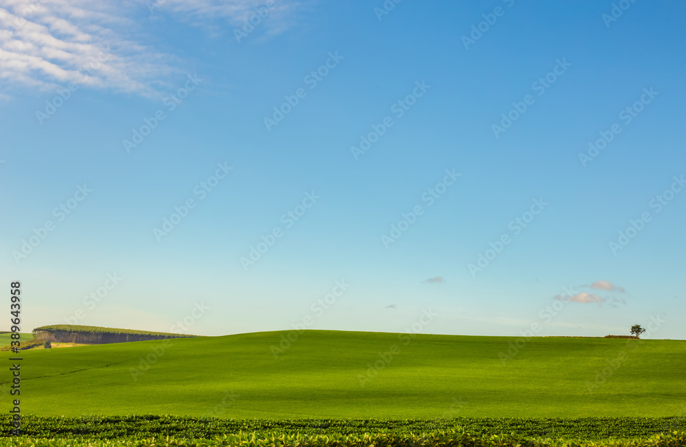 field with blue sky and cloudsBeautiful countryside screen background with green lawn and blue sky