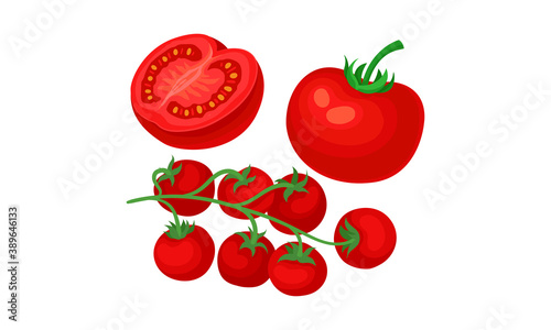 Red Tomato Ripe Vegetable as Organic Food Vector Set