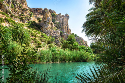 River and palm forest at Preveli, southern Crete , Greece