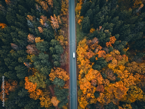 Car rides on the road in a beautiful autumn forest, photo from a drone. Beautiful autumn forest landscape, top view. © yaroslav1986