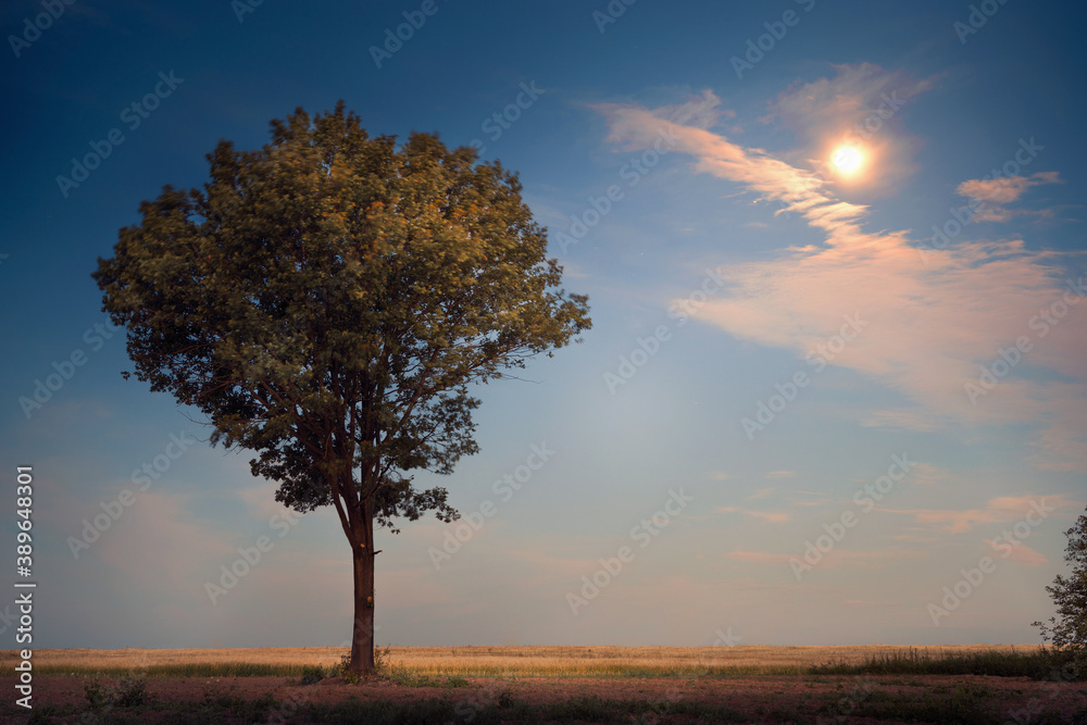 sunset of the red sun on a variegated colored sky