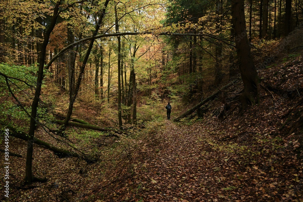 Wanderung im  bunt gefärbten, romantischen  Herbstwald ,  Ilmgraben am Großen Inselsberg - Thüringer Wald