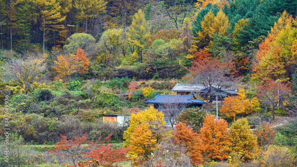 autumnal mountains flamboyant with autumn foliage. autumnal mountains flamboyant with autumn foliage.
