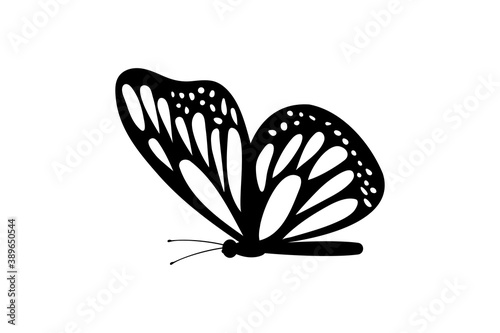 butterfly vector icon illustration design © nuiiun