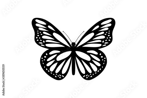 butterfly vector icon illustration design