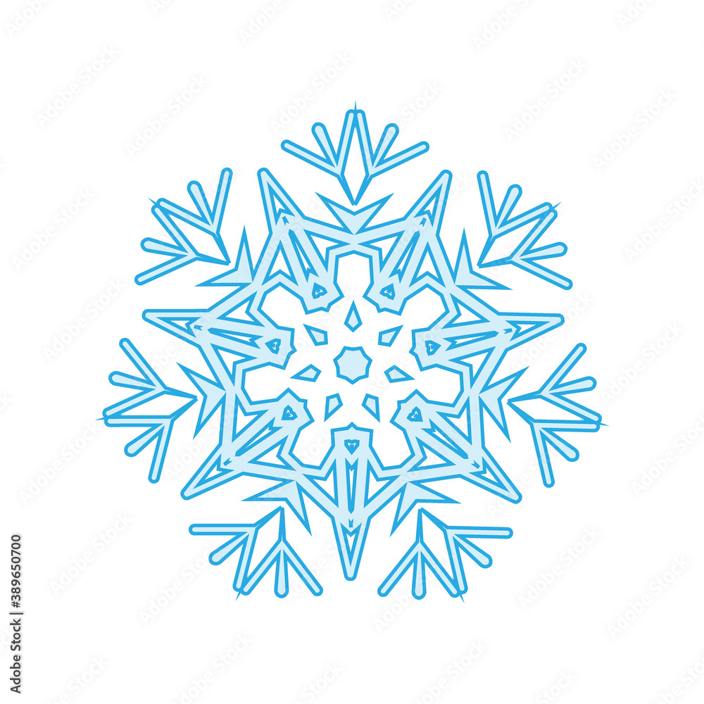 winter Snowflake isolated on white background. Vector illustration. winter Snowflake isolated on white background. Vector illustration.