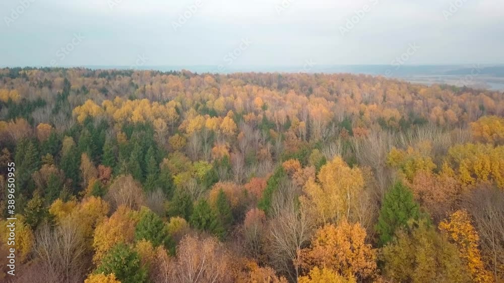 Top down autumn wood. Nature background. Aerial top view of autumn forest with colorful trees. Autumn forest aerial drone top view. Trees with bright yellow foliage. Deciduous forest in the fall. Top down autumn wood. Nature background. Aerial top view of autumn forest with colorful trees. Autumn forest aerial drone top view. Trees with bright yellow foliage. Deciduous forest in the fall.