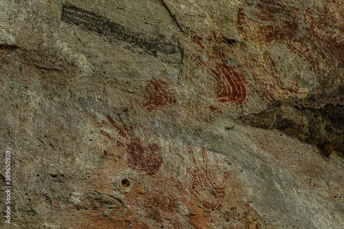 Prehistoric paintings in the cave at Phu Sra dok Bua National park Mukdahan province, Thailand.