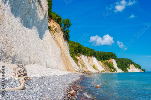 Strand der Ostsee mit Baumstamm an der Küste Rügens mit den Kreidefelsen des Jasmund Nationalparks.