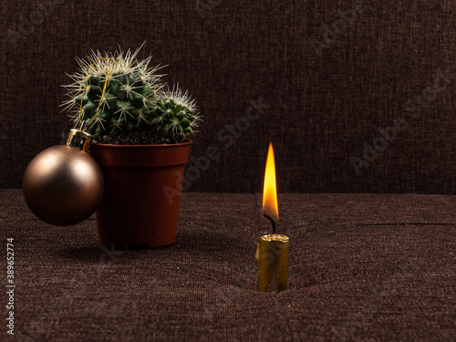 Christmas cactus tree and shiny candle photo