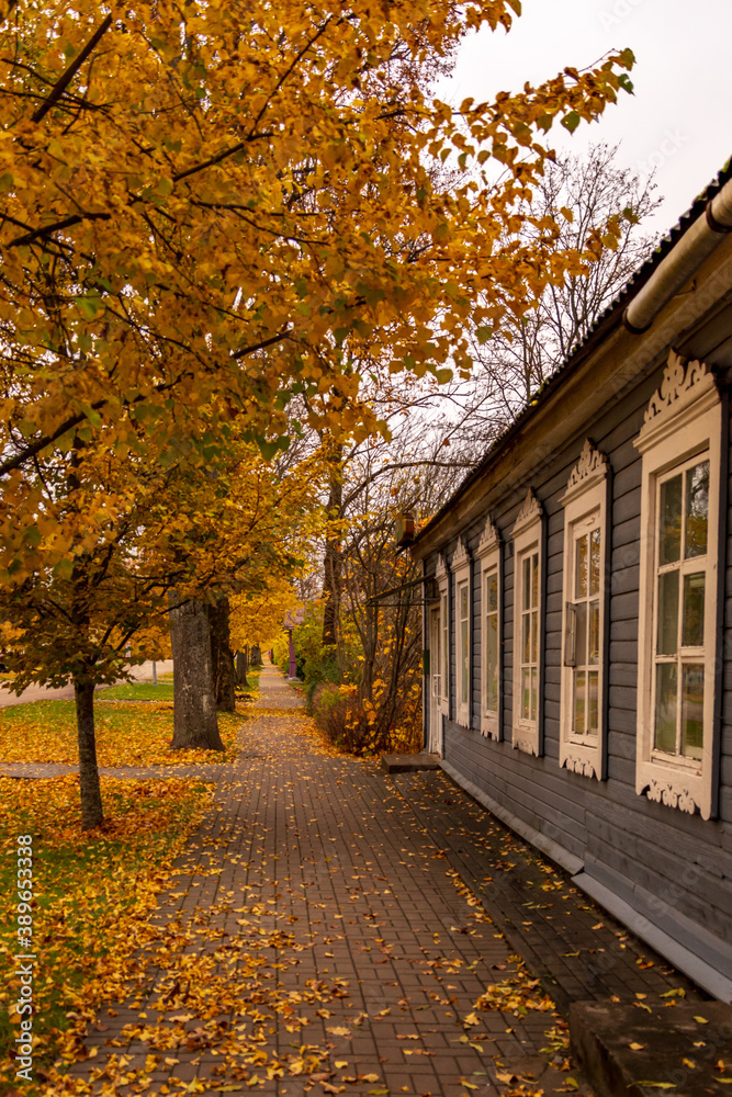 Tree alley to the park with autumn leaves. .Gray house with white patterned windows
