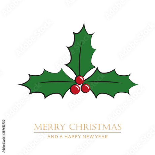 christmas holly berry isoladet on white vector illustration EPS10