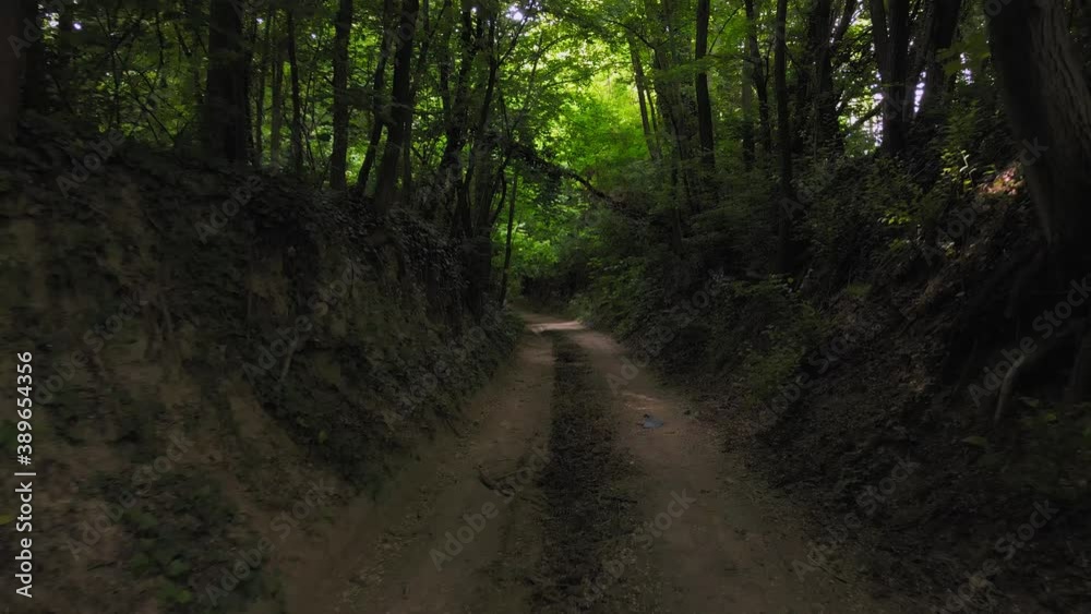 Walking along at dirt road. Nature forest at springime. Hand held. Hungary, Europe. 4K Walking along at dirt road. Nature forest at springime. Hand held. Hungary, Europe. 4K