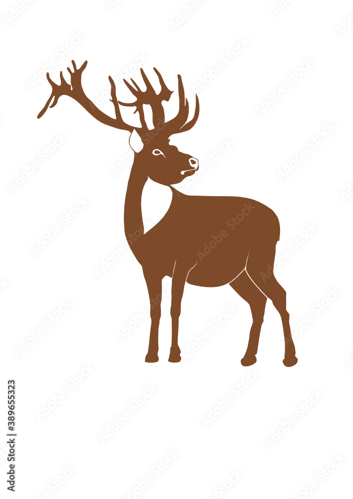 deer deer