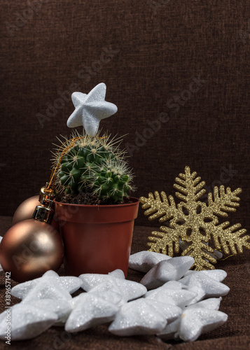 Christmas cactus tree with decorative white stars photo