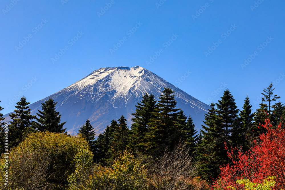 秋の富士山と紅葉