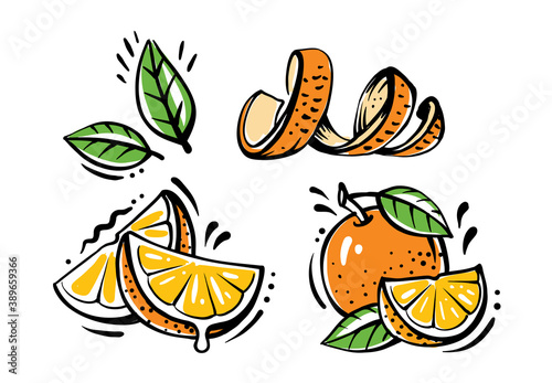 set of orange fruits on white background