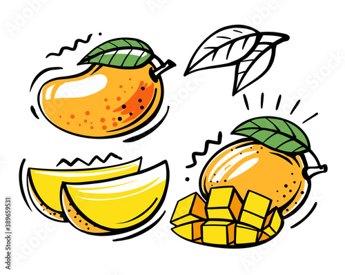 set of mango fruits on white background