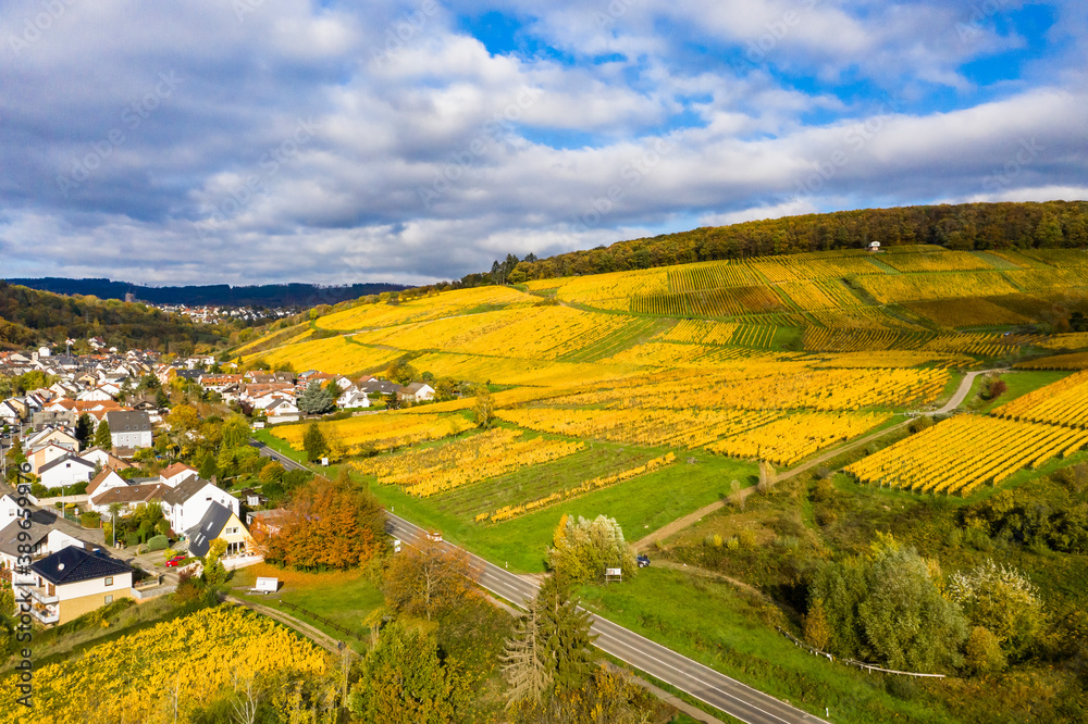 Aerial view, golden vineyards in autumn from above, Rheingau, region, Oestrich-Winkel, Walluf, Martinsthal, Hesse, Germany