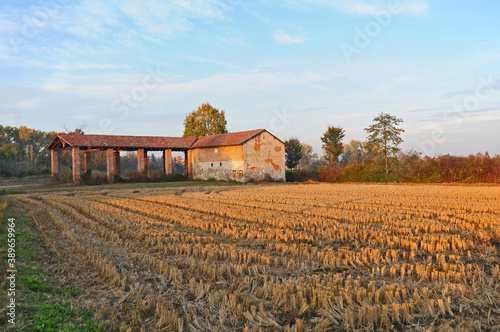 Risaie e colori d'autunno a sud di Milano - Basiglio	
