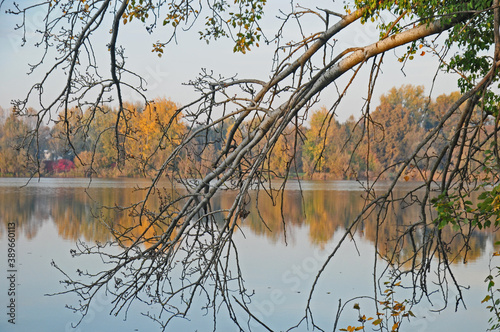 Foliage d'autunno sul lago di Basiglio - Parco Sud Milano photo