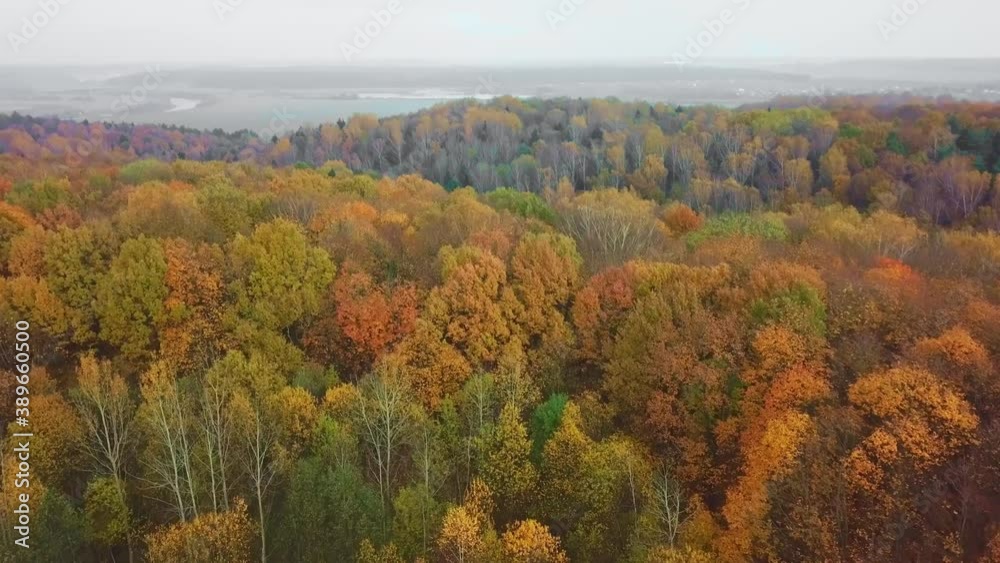 Top down autumn wood. Nature background. Aerial top view of autumn forest with colorful trees. Autumn forest aerial drone top view. Trees with bright yellow foliage. Deciduous forest in the fall. Top down autumn wood. Nature background. Aerial top view of autumn forest with colorful trees. Autumn forest aerial drone top view. Trees with bright yellow foliage. Deciduous forest in the fall.